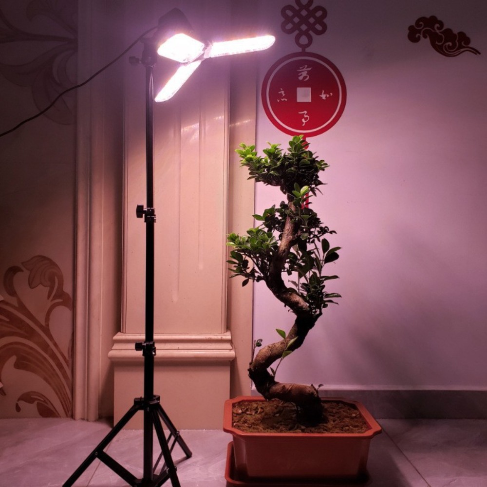 Support d'ampoule 2M, douille  - Photography Lighting For Studio avis et prix