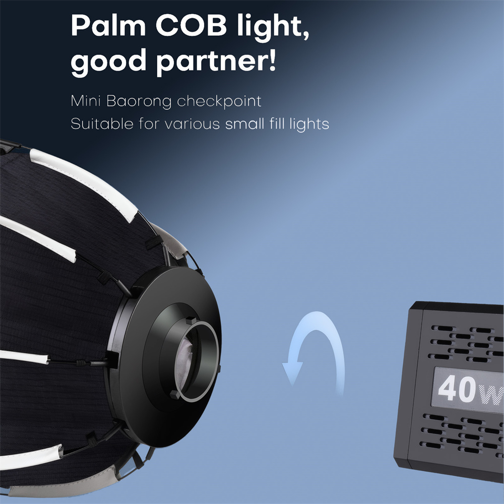 Mini Softbox à Monture Bowens, - Photography Lighting Modifiers avis et prix